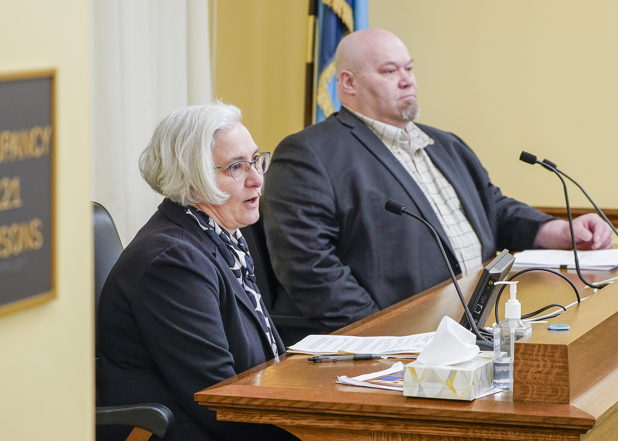 Nan Madden, director of the Minnesota Budget Project at the Minnesota Coalition of Nonprofits, testifies March 5 against a bill sponsored by Rep. Mike Wiener, right, that would eliminate the first tier of the individual income tax. (Photo by Andrew VonBank)